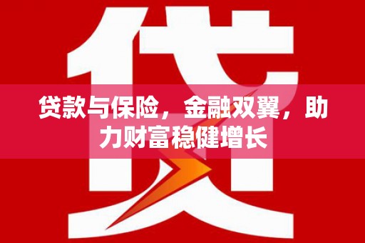 济宁贷款与保险，金融双翼，助力财富稳健增长