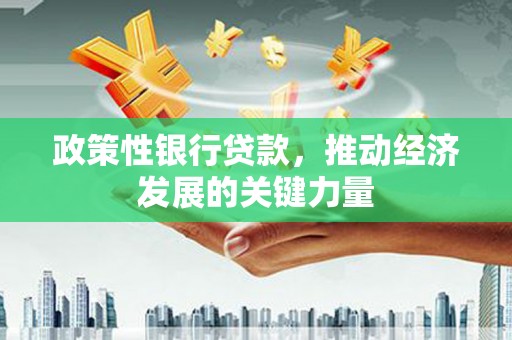 玛曲政策性银行贷款，推动经济发展的关键力量
