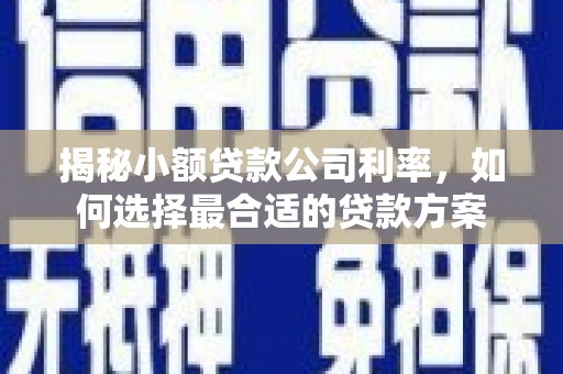 内蒙古揭秘小额贷款公司利率，如何选择最合适的贷款方案