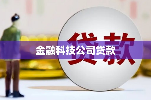 岷县金融科技公司贷款