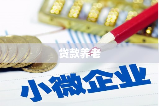 武义贷款养老