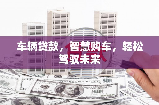 雷州车辆贷款，智慧购车，轻松驾驭未来