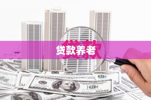 彝良贷款养老