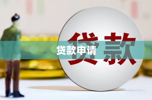 卓尼贷款申请