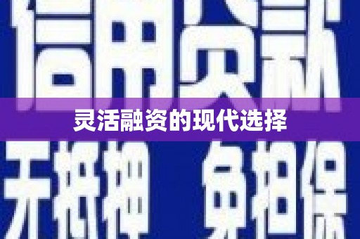 岫岩灵活融资的现代选择