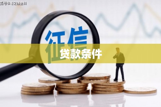 芦淞贷款条件