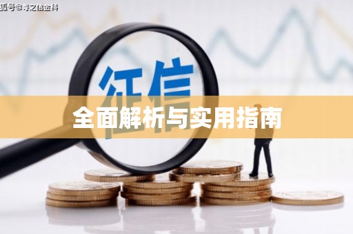 西和全面解析与实用指南