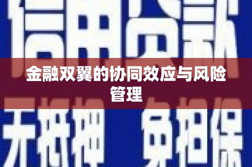 兰西金融双翼的协同效应与风险管理
