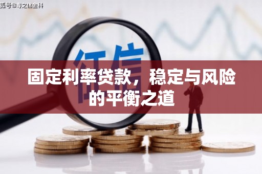 兴宾固定利率贷款，稳定与风险的平衡之道