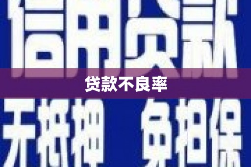甘谷贷款不良率