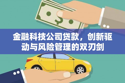 大社金融科技公司贷款，创新驱动与风险管理的双刃剑
